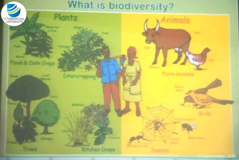 A GUEST LECTURE ON BIODIVERSITY AND ITS CONSERVATION-12.09.2018-11-ink