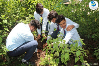 Uttaranchal Institute of Management organizes Tree Plantation Drive-20.9.2018-6-ink