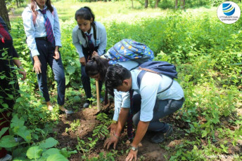 Uttaranchal Institute of Management organizes Tree Plantation Drive-20.9.2018-8-ink