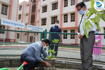 Uttaranchal University organizes ‘Tree Plantation Drive’ on the occasion of “World Environment Day”