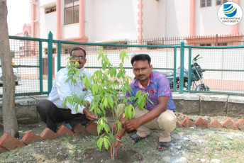 Uttaranchal University organizes ‘Tree Plantation Drive’ on the occasion of “World Environment Day”